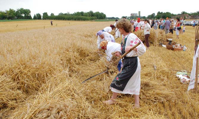 Aratás archív 2016.